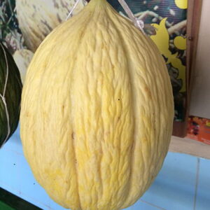 Beyaz Dilim Kavun Tohumu 1 Kg